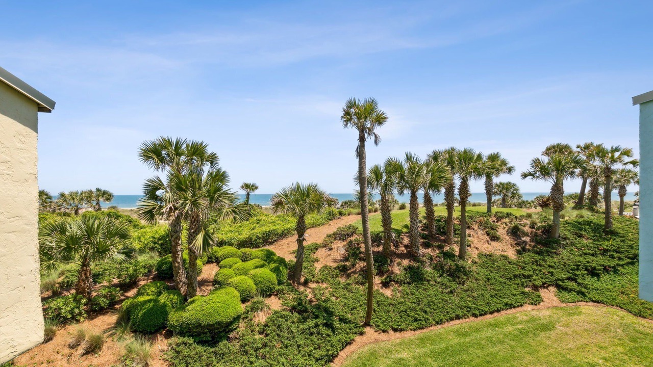 Photo of Outdoor in Fernandina Beach