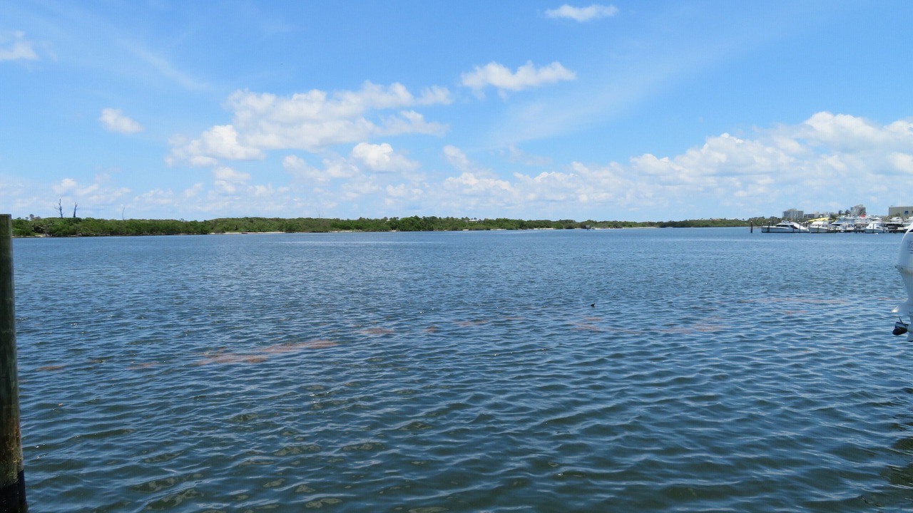 Photo of Others in Jupiter