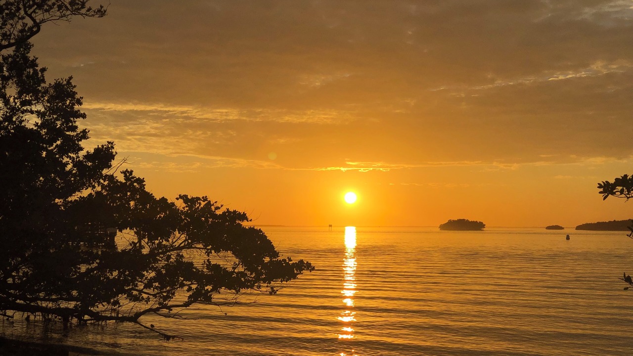 Photo of Others in Punta Rassa