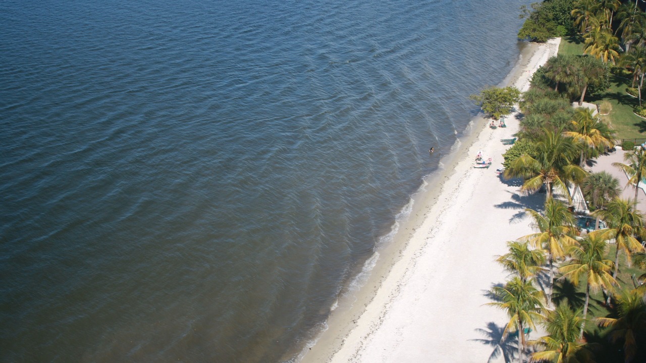 Photo of Others in Punta Rassa