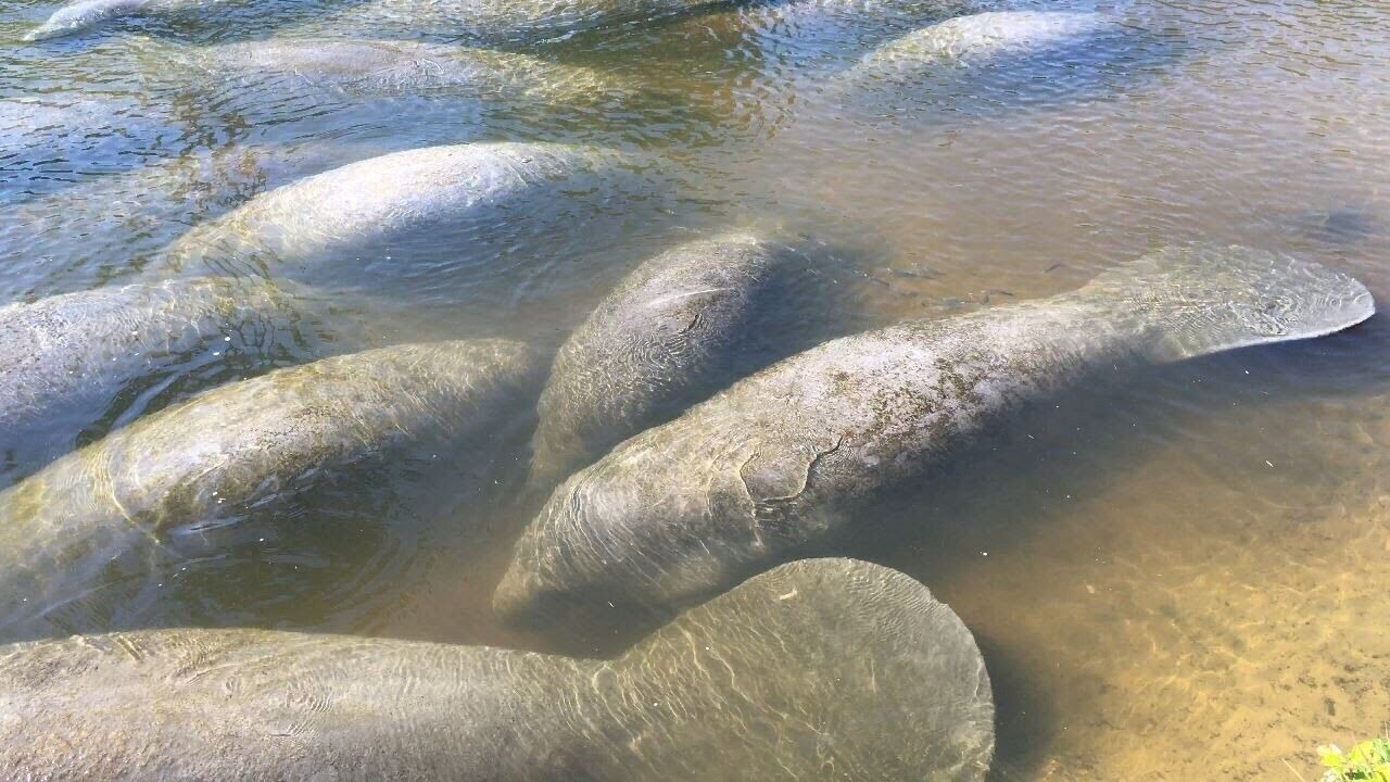 Photo of Others in Sea Park Homes