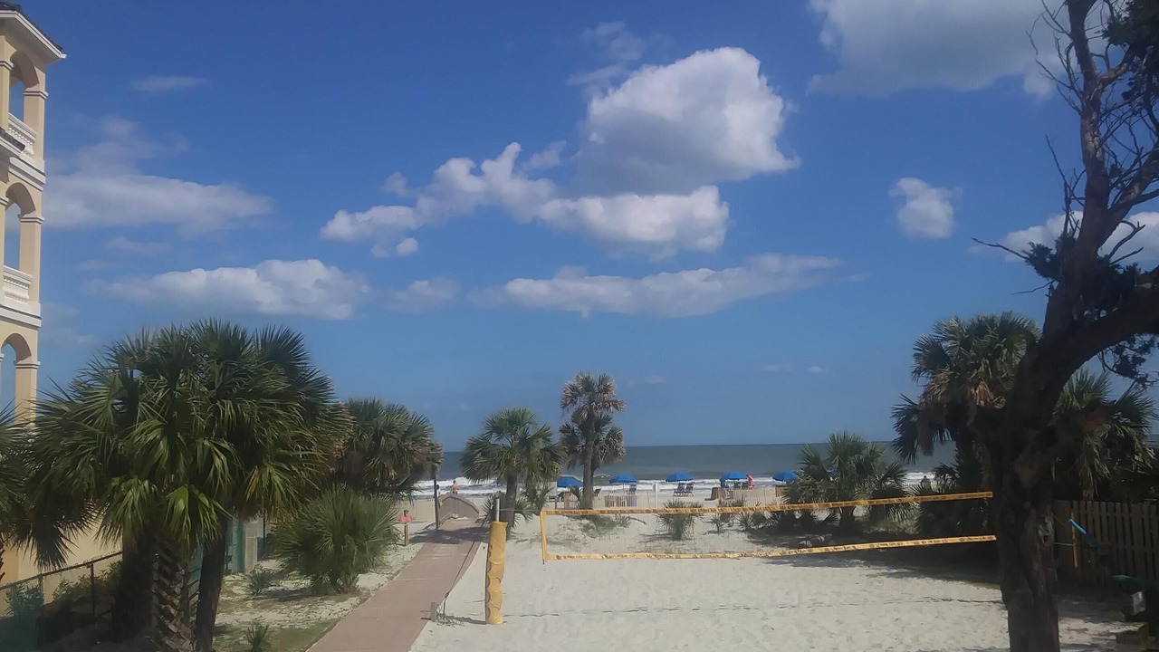 Photo of Others in Palmetto Dunes