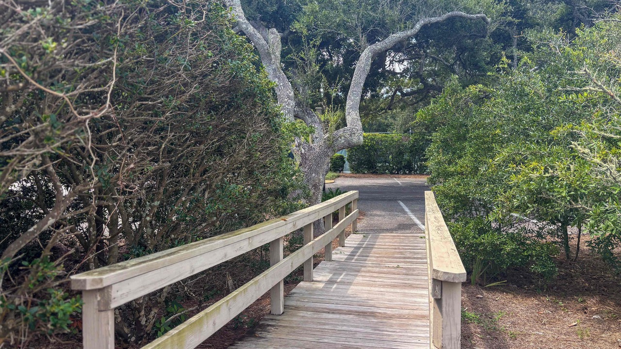 Photo of Others in Amelia City