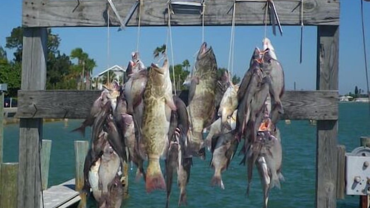 Photo of Others in Pass-a-Grille