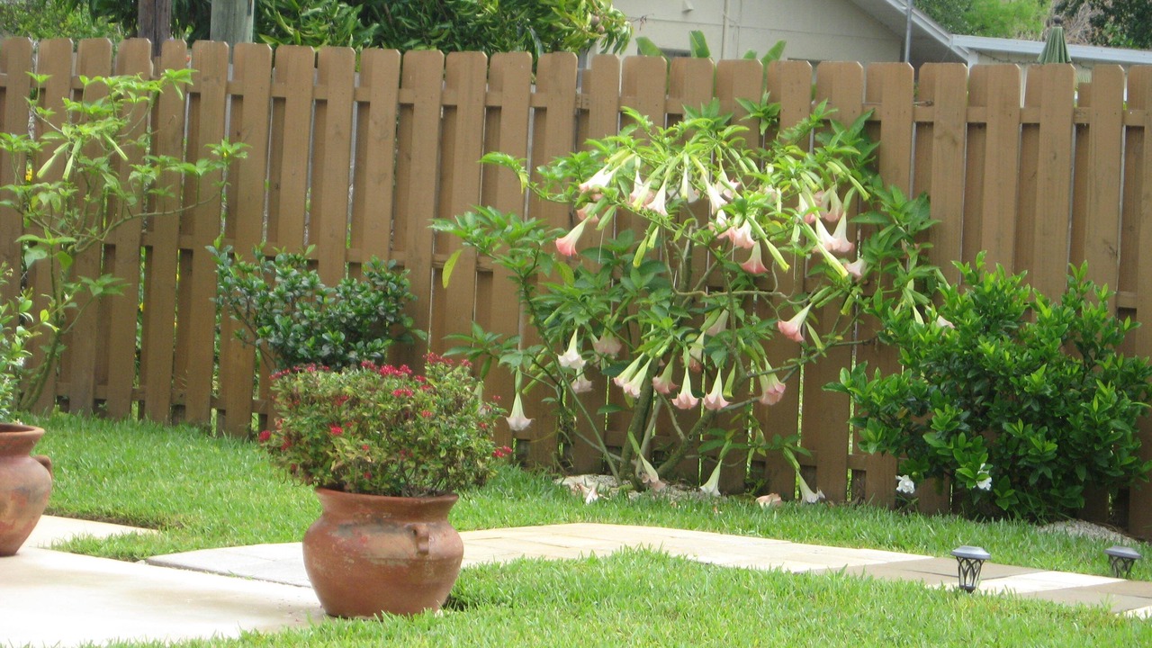 Photo of Outdoor in Naples Park