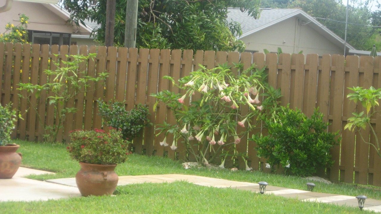 Photo of Outdoor in Naples Park