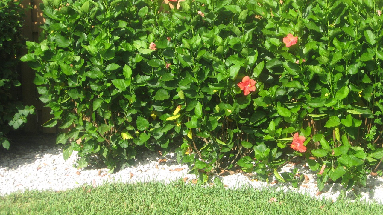 Photo of Outdoor in Naples Park