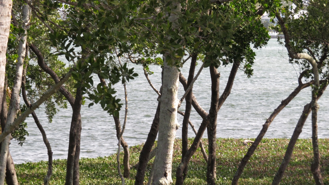 Photo of Others in Bradenton Beach