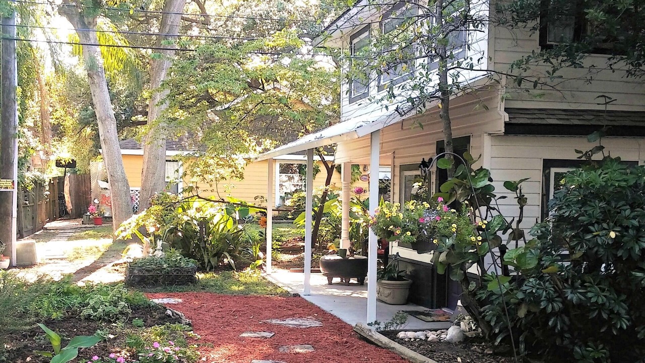 Photo of Outdoor in Clearwater