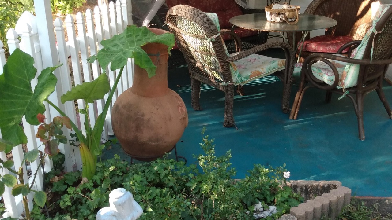 Photo of Outdoor in Clearwater
