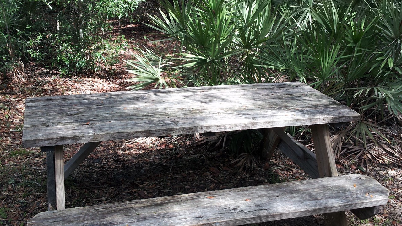 Photo of Outdoor in Ridge Manor