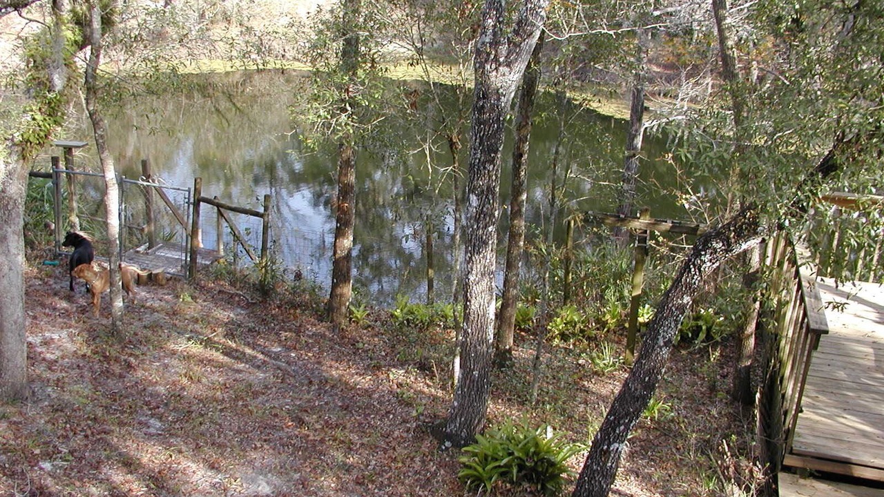 Photo of Outdoor in Ridge Manor