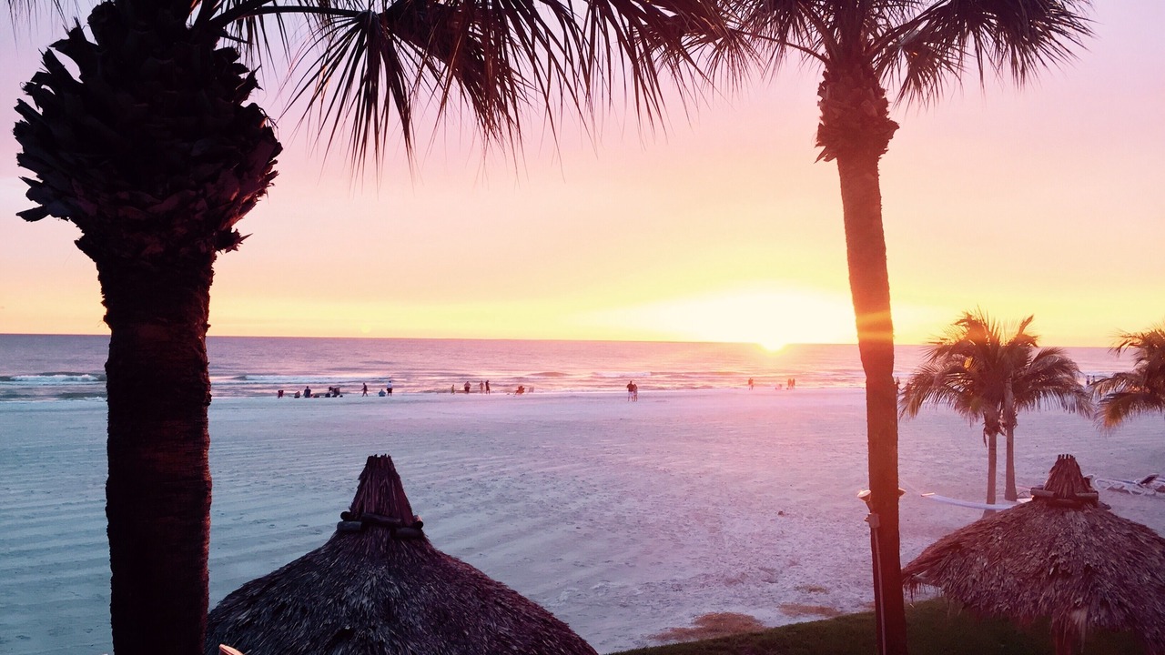 Photo of Others in Redington Shores