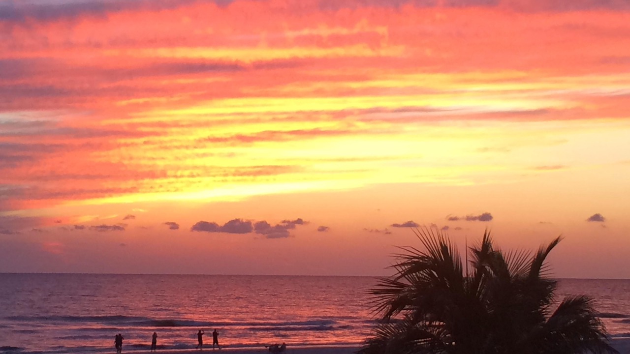 Photo of Others in Redington Shores