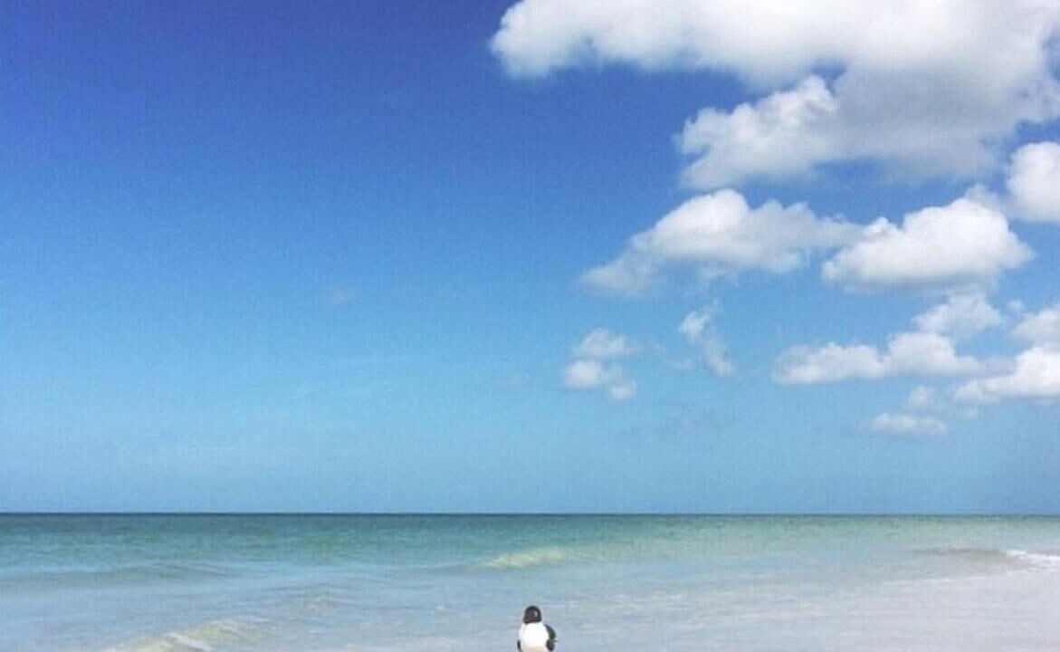 Photo of Others in Redington Shores