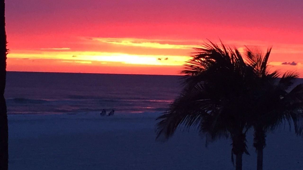 Photo of Others in Redington Shores