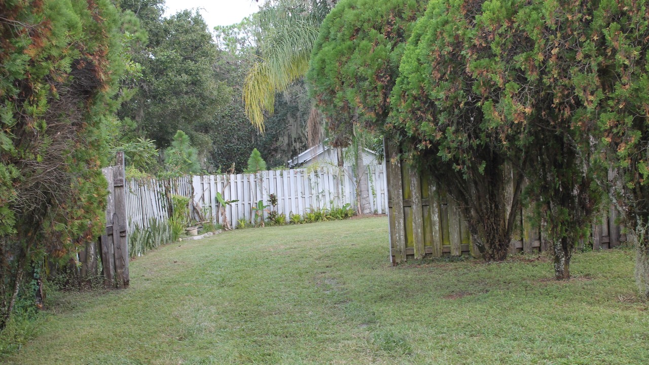 Photo of Others in Braden River