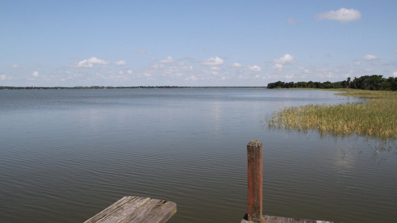 Photo of Others in Haines City