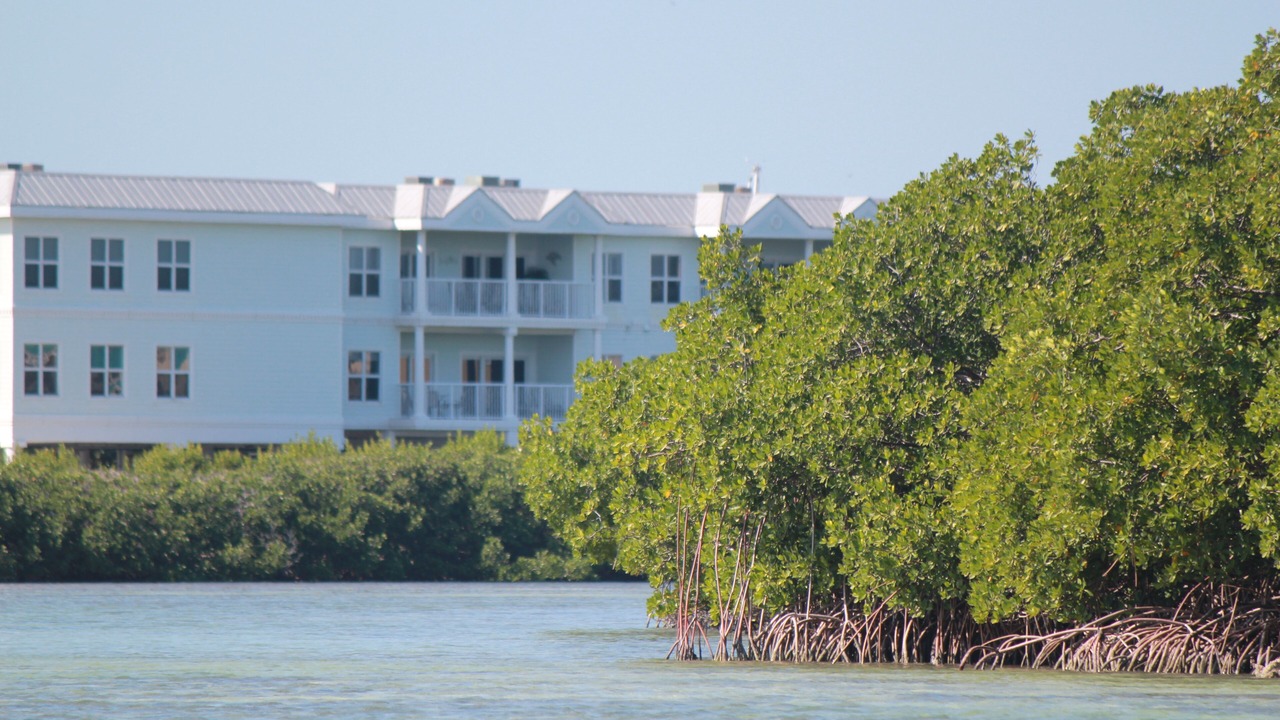 Photo of Outdoor in Key West
