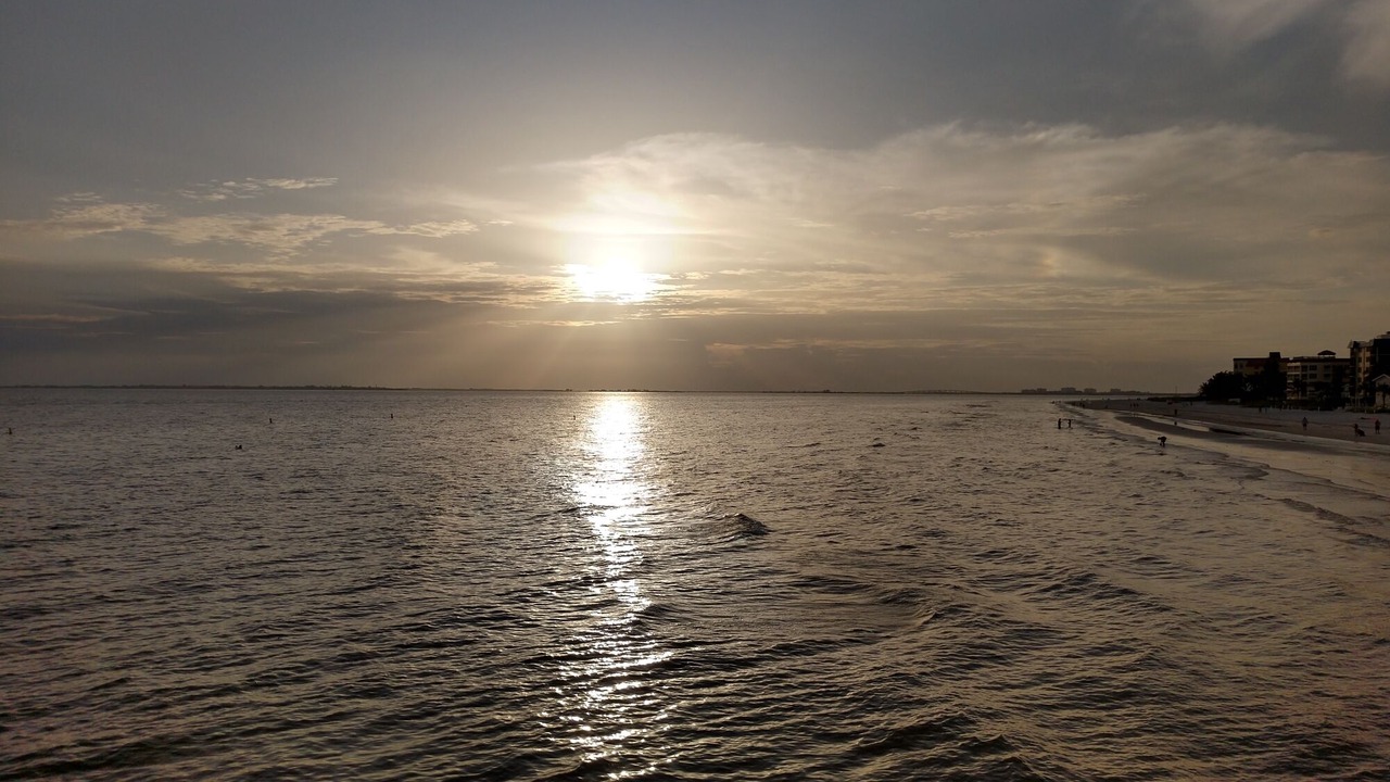 Photo of Others in Fort Myers
