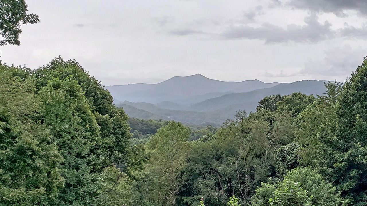 Photo of Others in Sylva