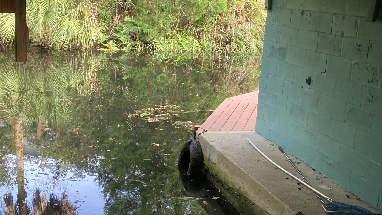 Photo of Outdoor in Chassahowitzka