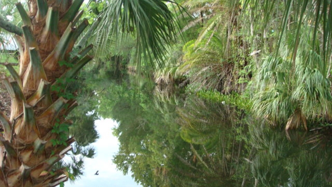 Photo of Others in Chassahowitzka