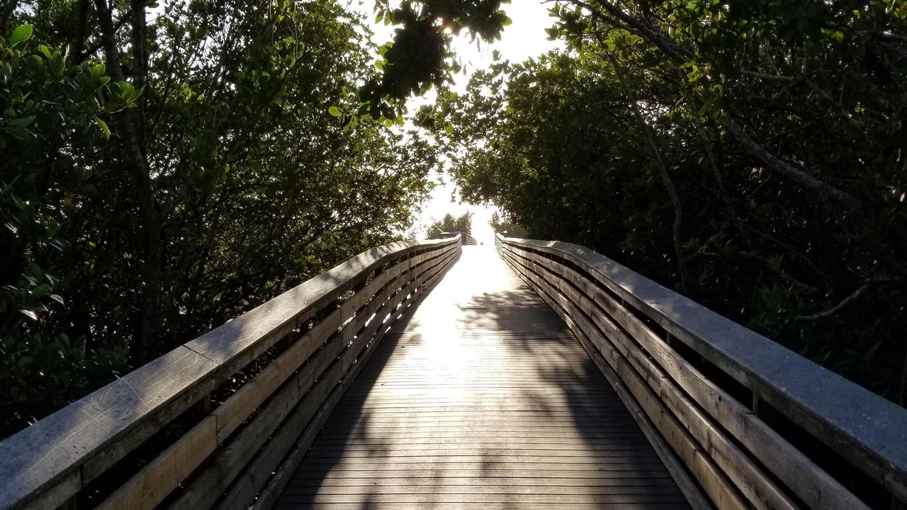 Photo of Others in Fort Myers