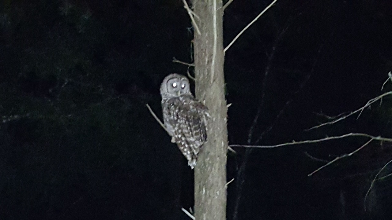 Photo of Others in Steinhatchee