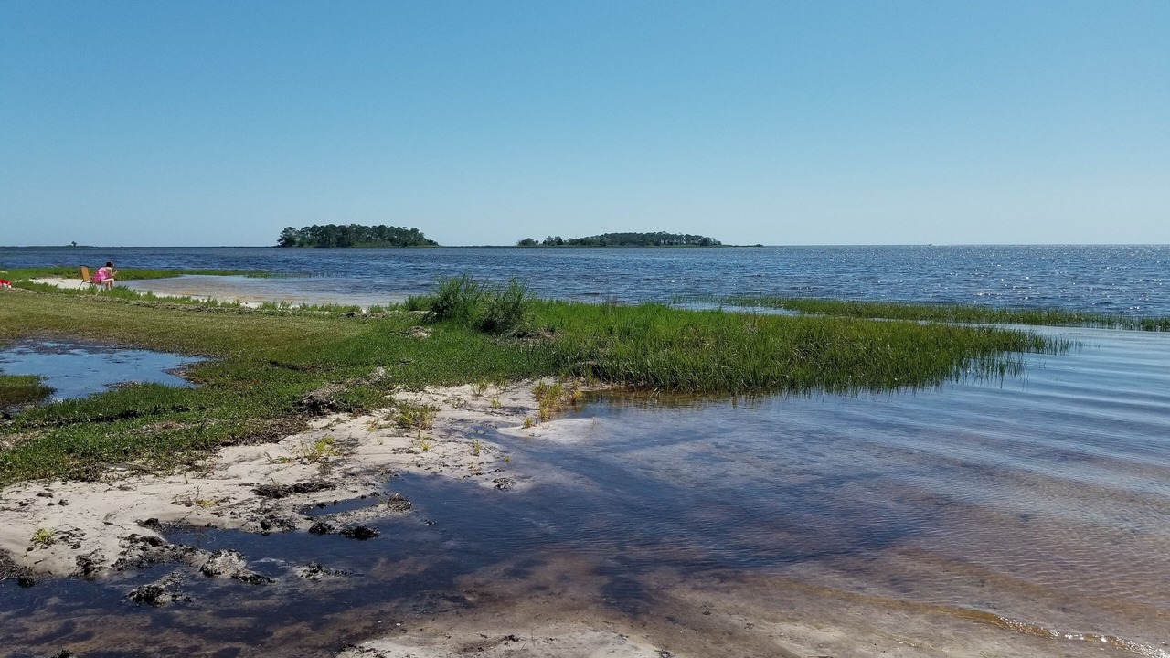 Photo of Others in Steinhatchee