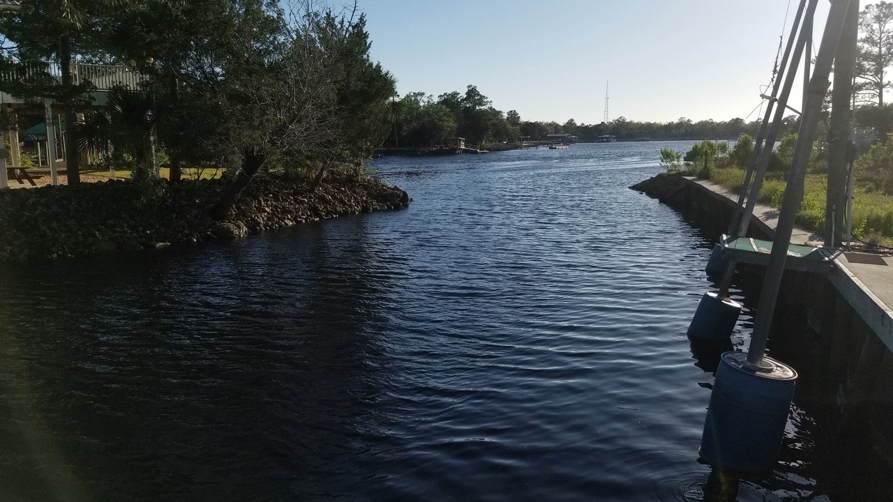 Photo of Others in Steinhatchee