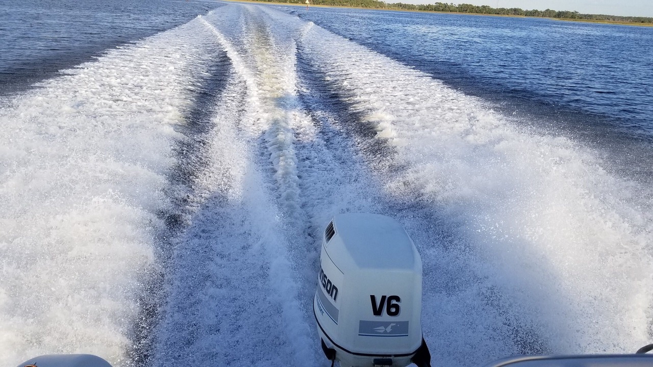 Photo of Others in Steinhatchee
