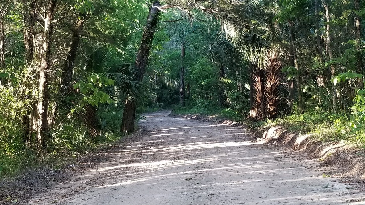 Photo of Others in Steinhatchee