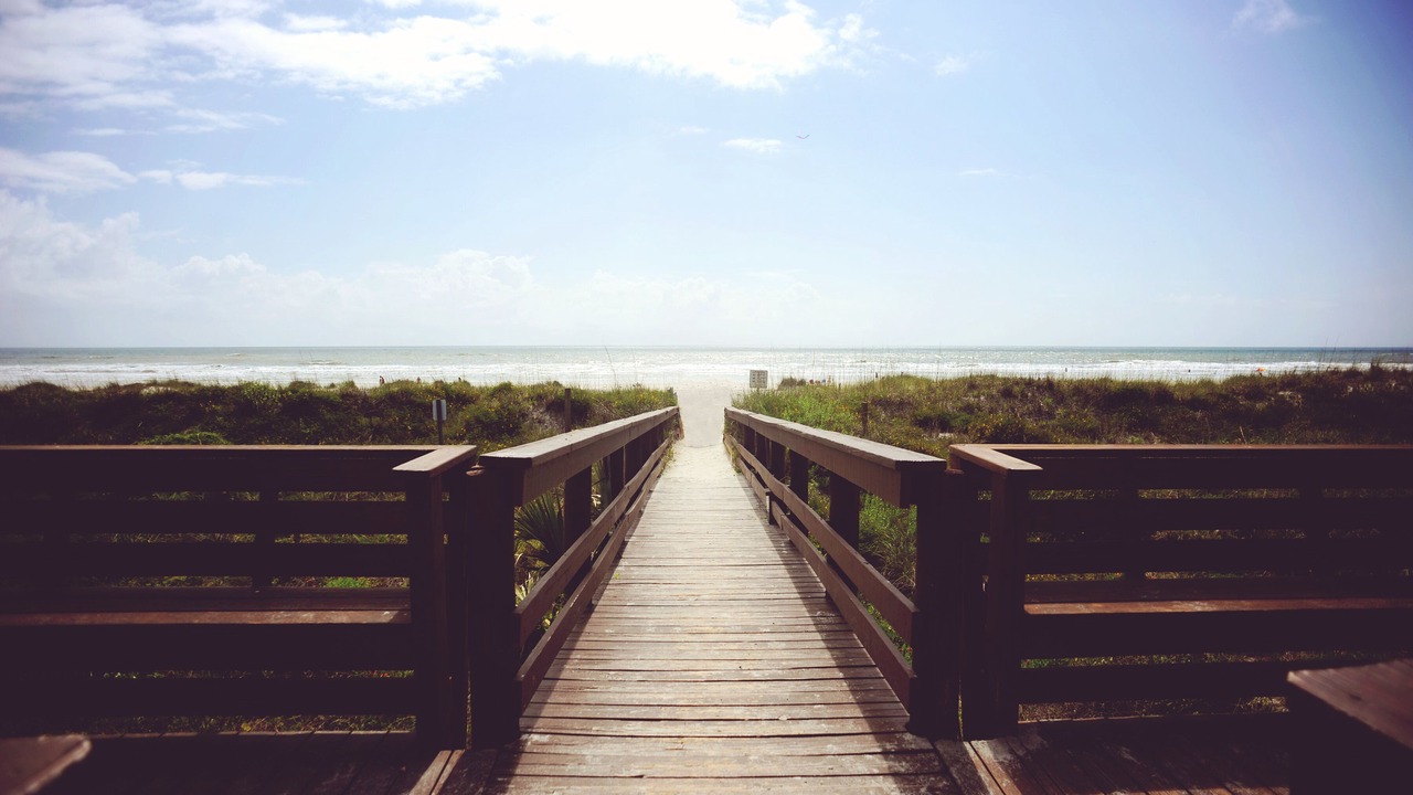 Photo of Others in St. Augustine Beach