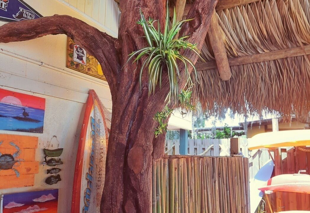 Photo of Outdoor in Crystal River