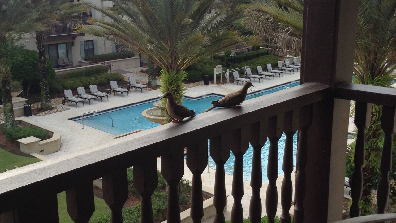Photo of Patio Balcony in St. Augustine