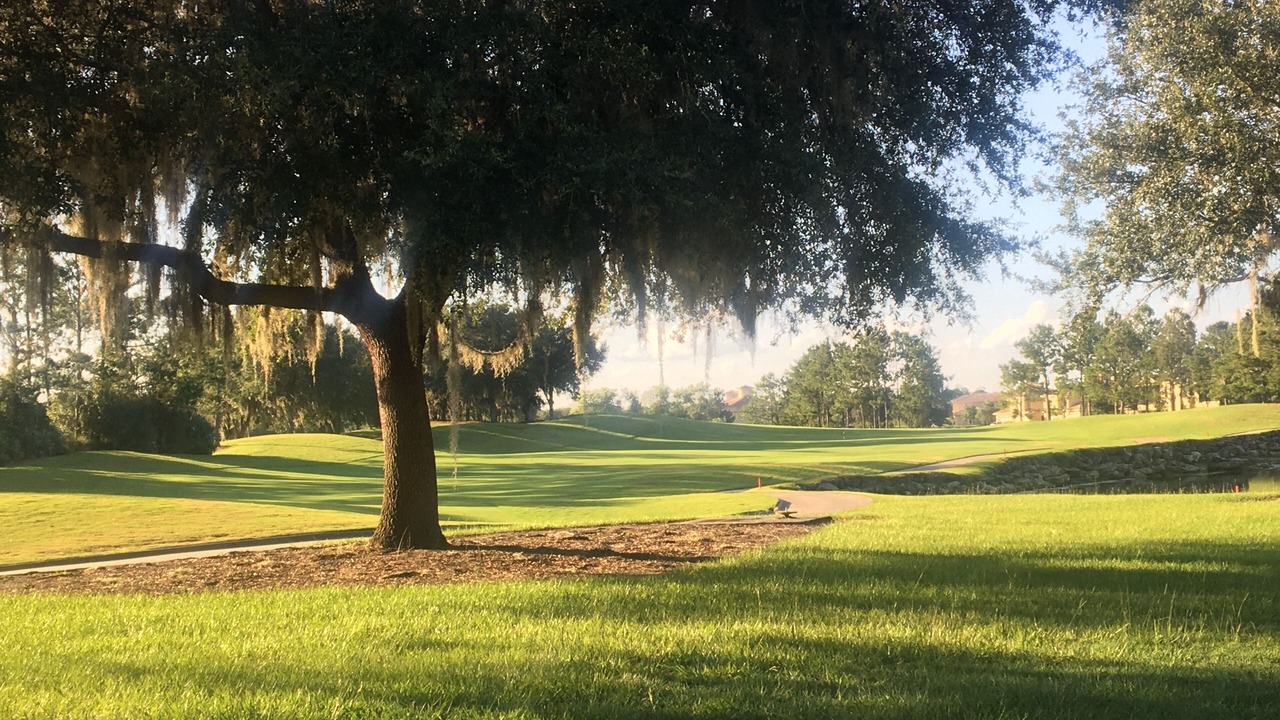 Photo of Others in St. Augustine