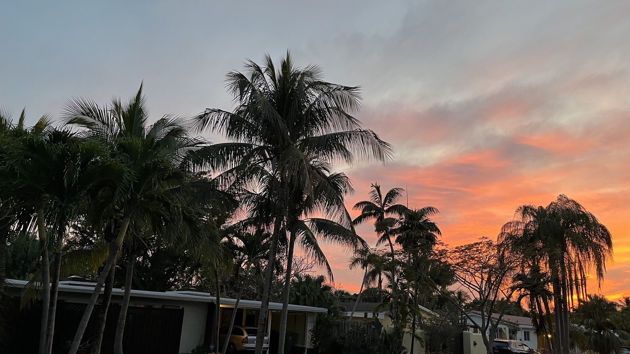 Photo of Outdoor in Coral Shores