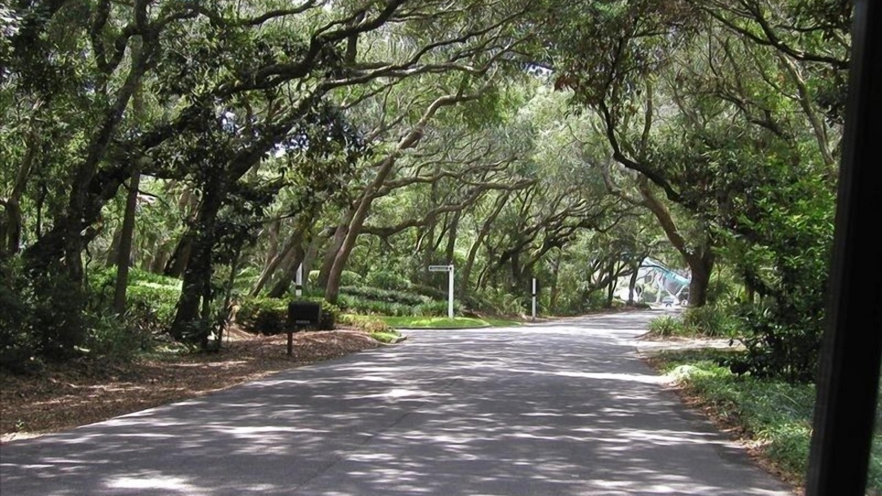 Photo of Others in Fernandina Beach