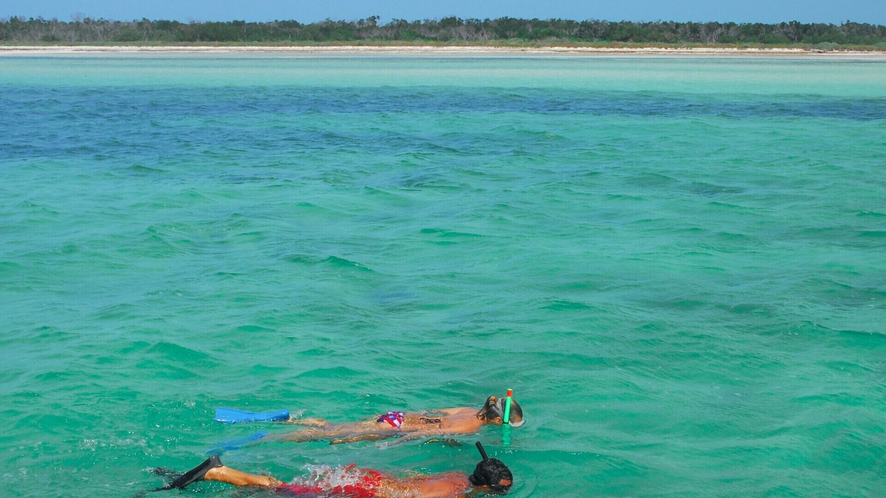 Photo of Others in North Captiva