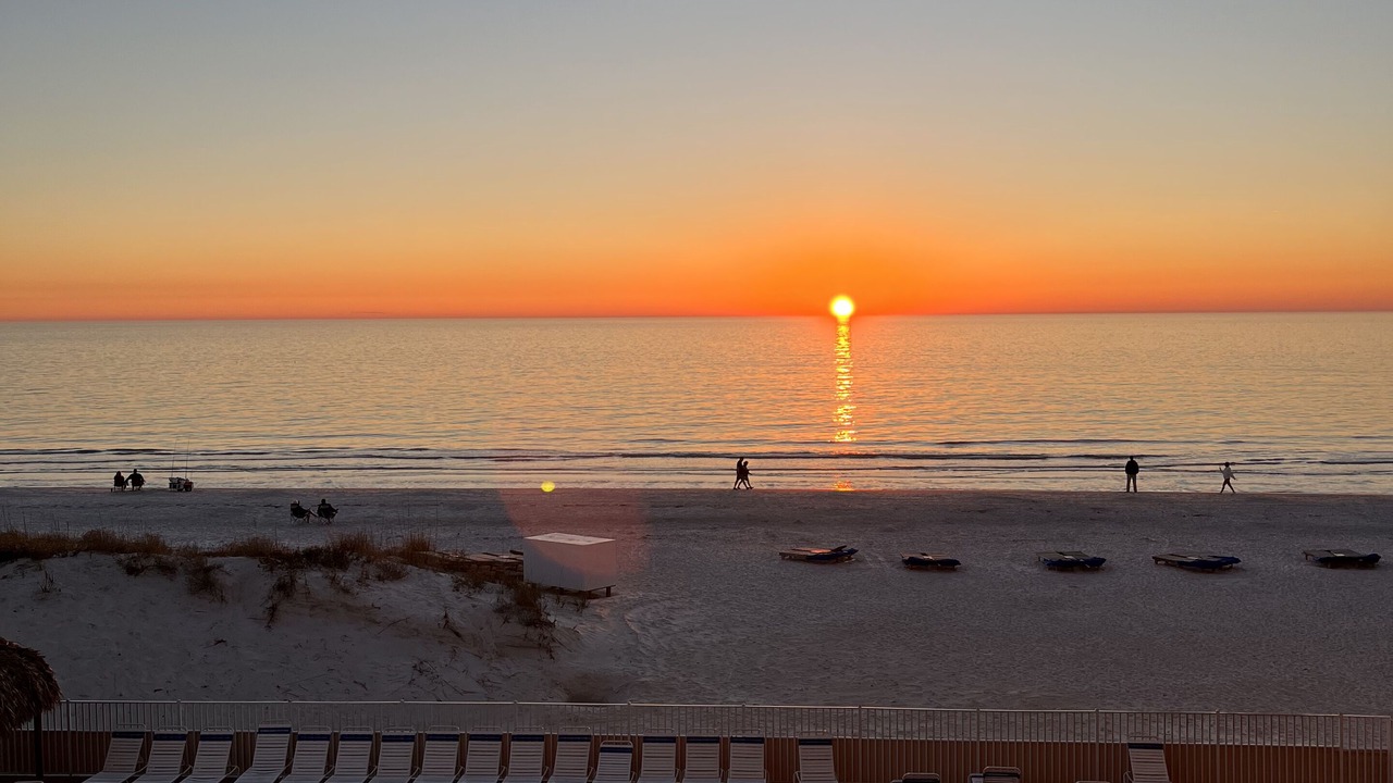 Photo of Others in Indian Shores