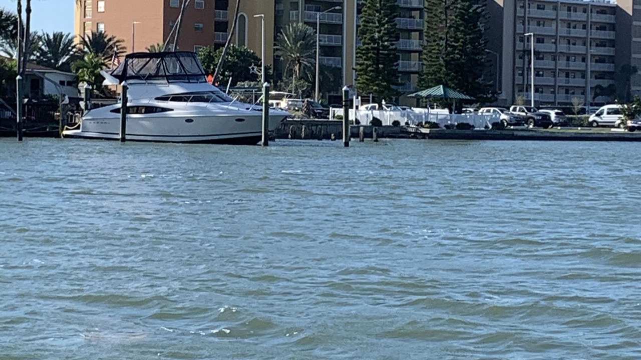 Photo of Others in Indian Shores