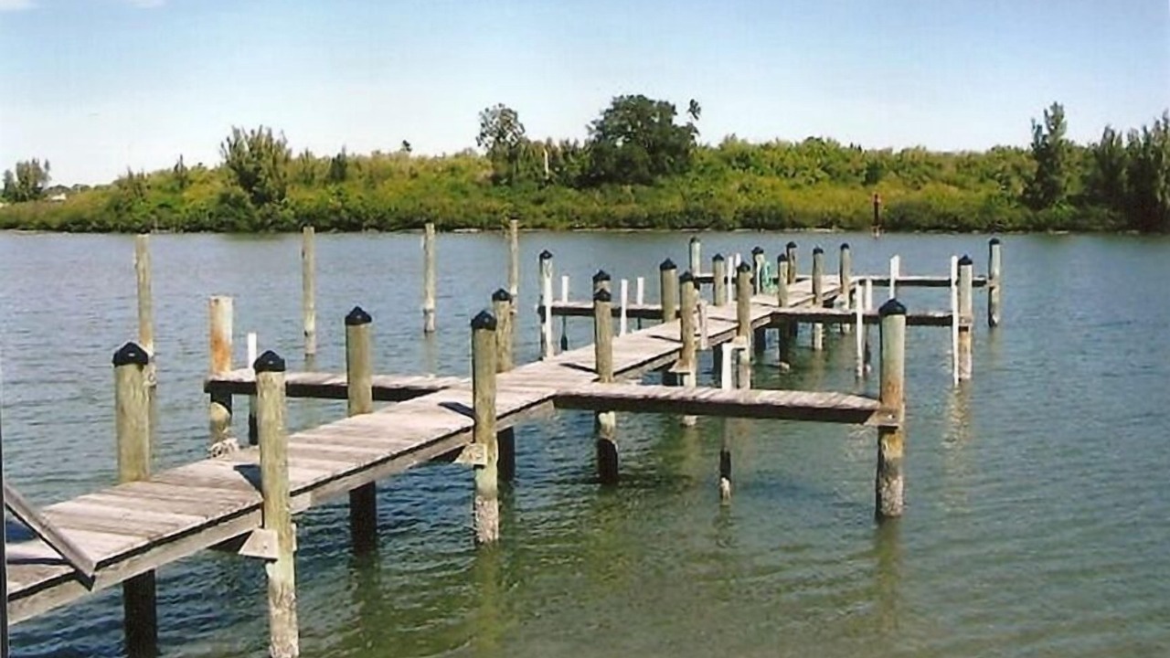Photo of Others in Indian Shores