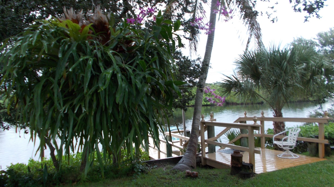 Photo of Outdoor in Inlet District