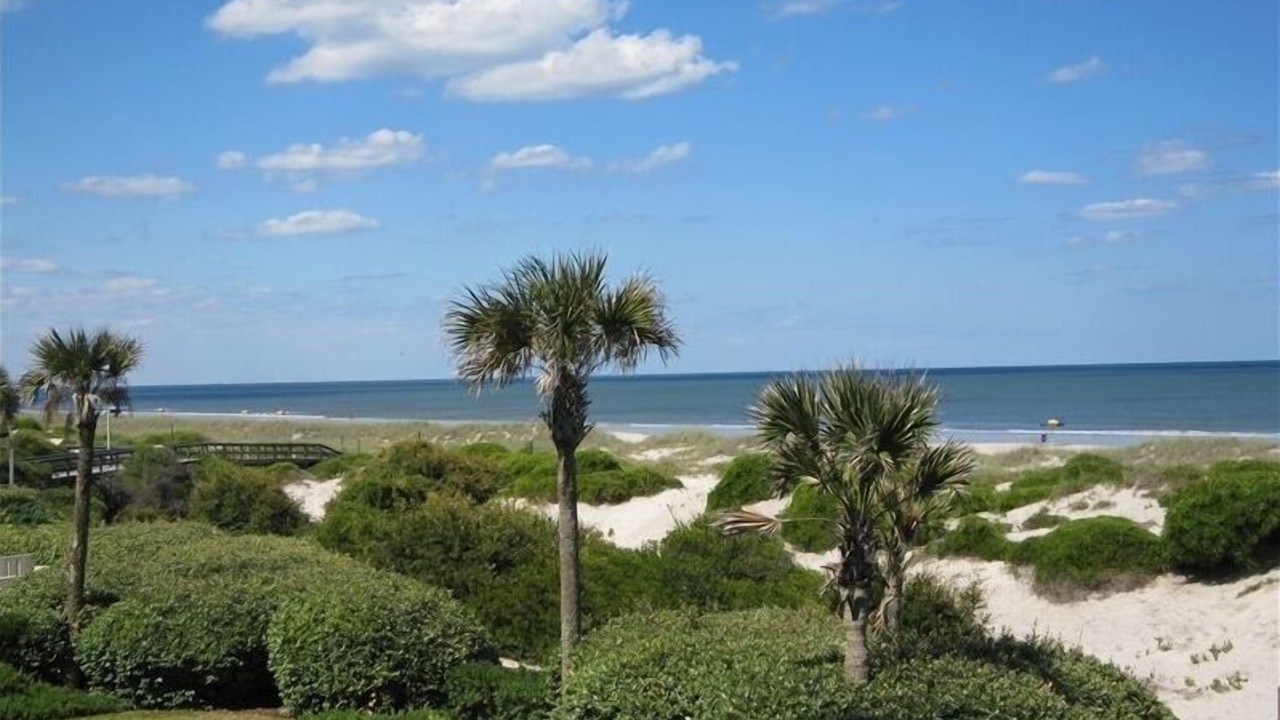 Photo of Outdoor in Amelia City