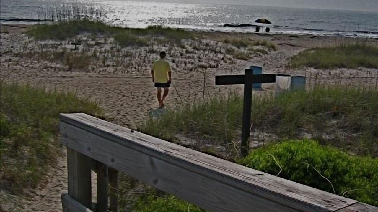 Photo of Others in Amelia City