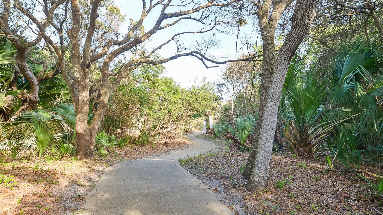 Photo of Others in New Smyrna Beach