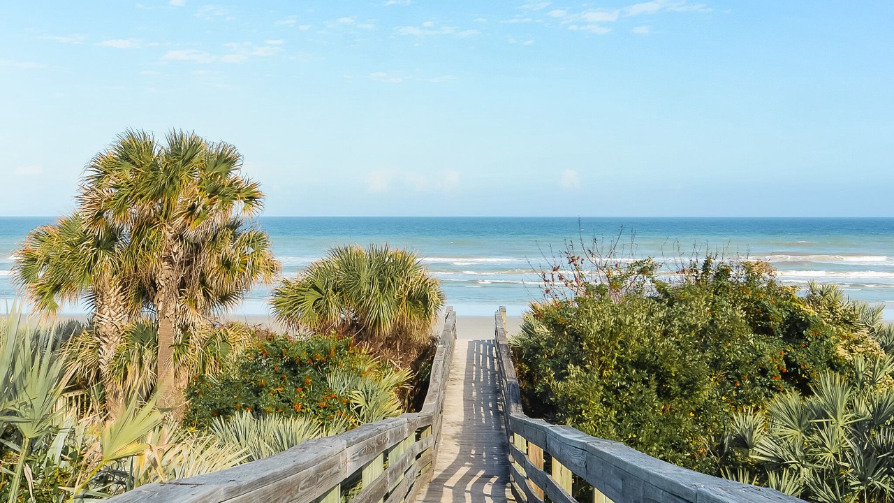 Photo of Others in New Smyrna Beach