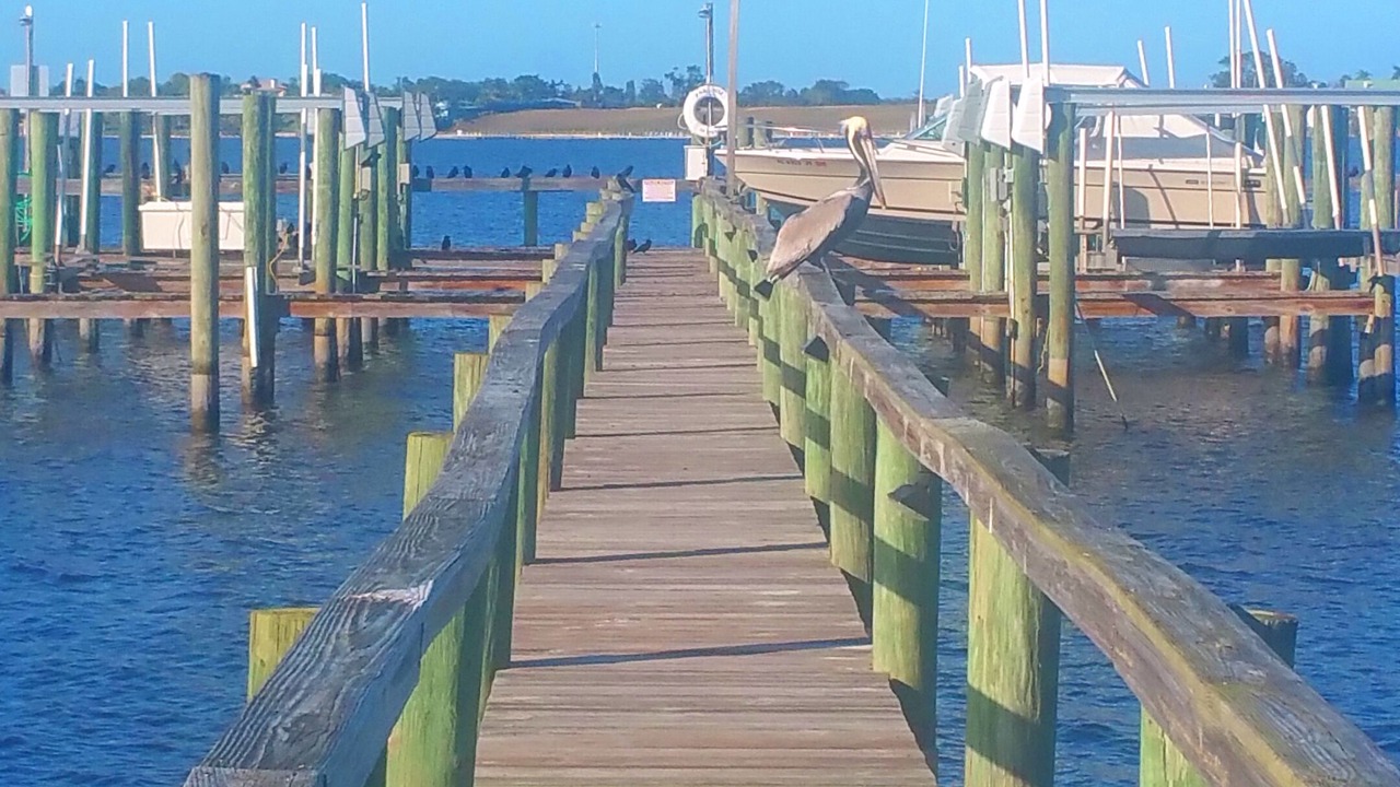 Photo of Outdoor in Stuart