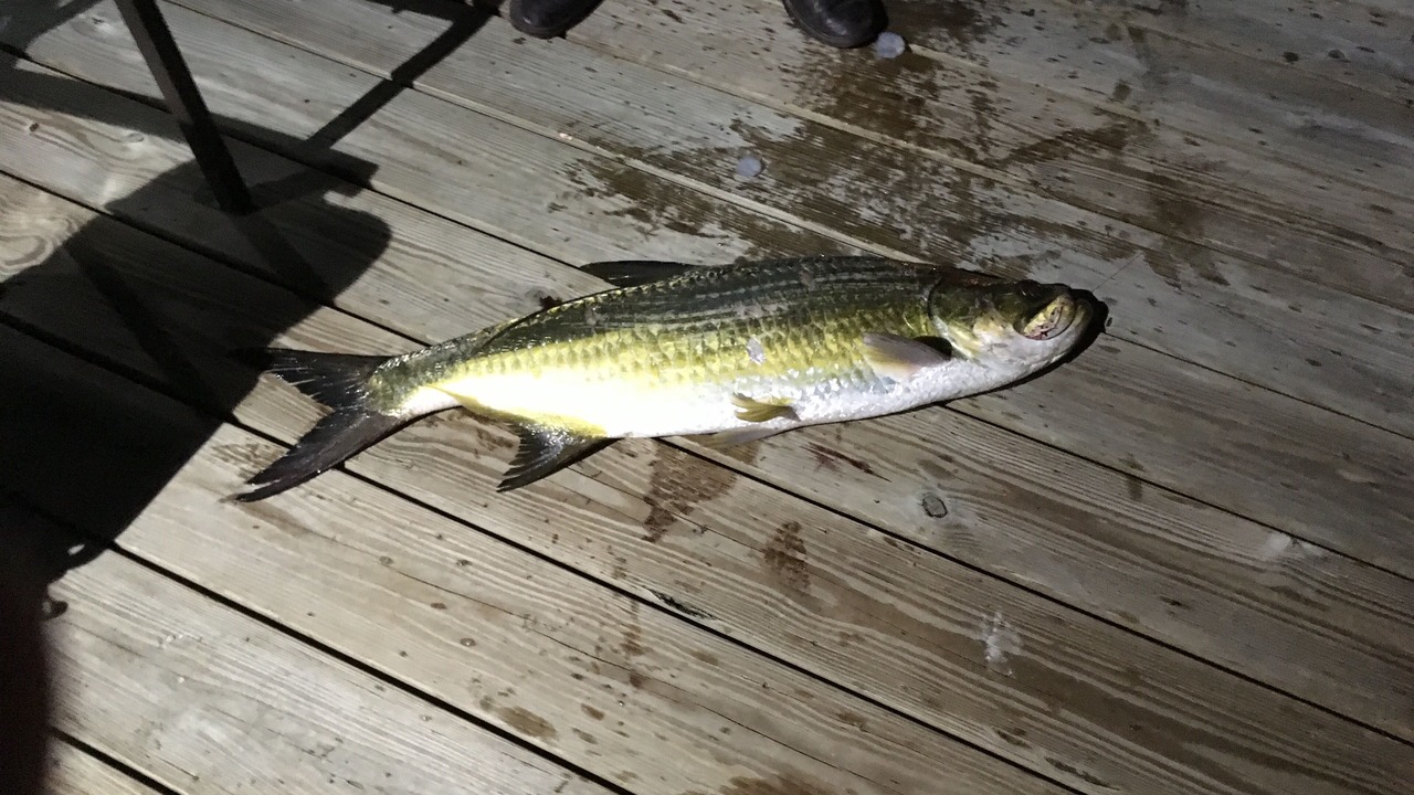Photo of Outdoor in Stuart